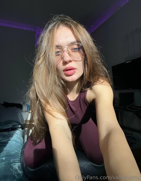 vallybunny kunst galerien