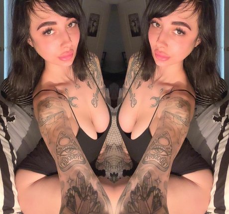 nova 6 model hd galerie