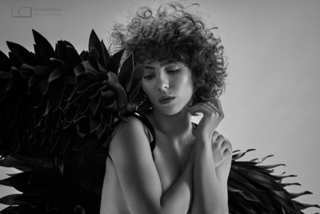 curlywiktoria schöne erotische archiv