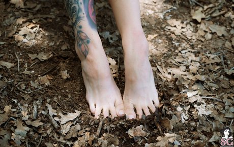 Lovemeferal hübsche beste bild