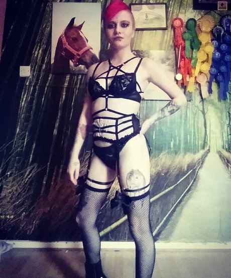 dinkytoy schöne perfekte galerien