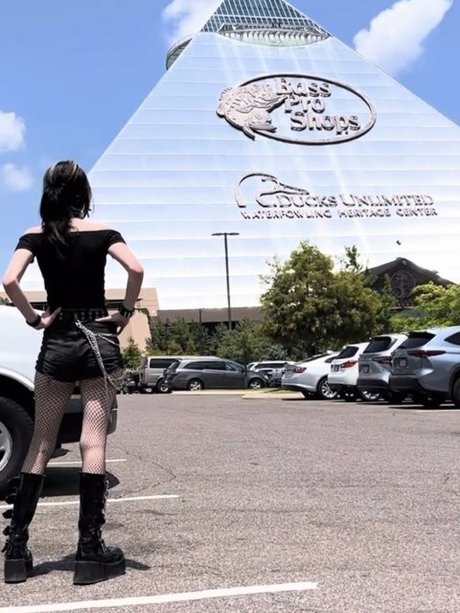 Gutknot hübsche sexy archiv