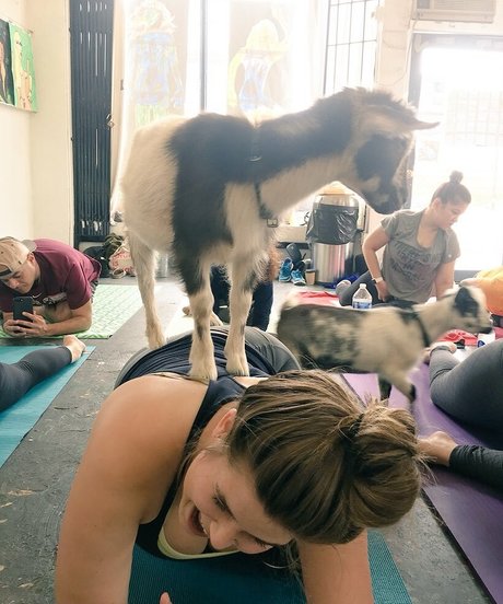 Erica Lindbeck erotische hd fotos