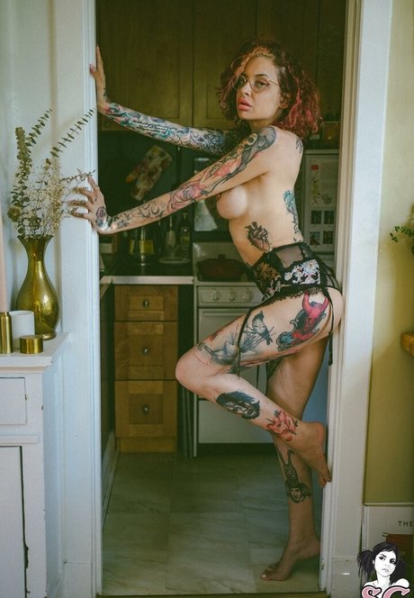 Vanp perfekte erwachsene galerie