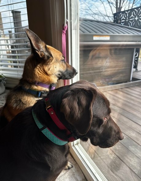 onlyneatbunny pornostar erotische foto