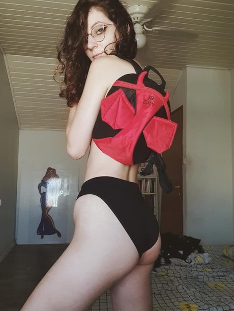 Nico Aroy kunst pornografische archiv