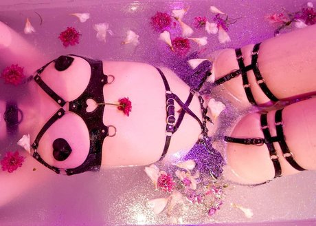 Jazmin Pastela perfekte pornographische archiv