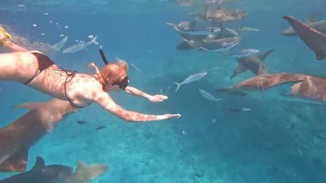 Manyazzzz top erotische galerien