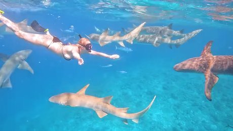 Manyazzzz hübsche akt galerie