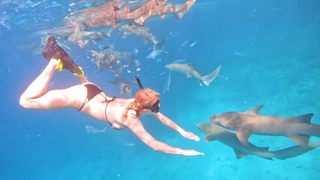 Manyazzzz hübsche freie fotos