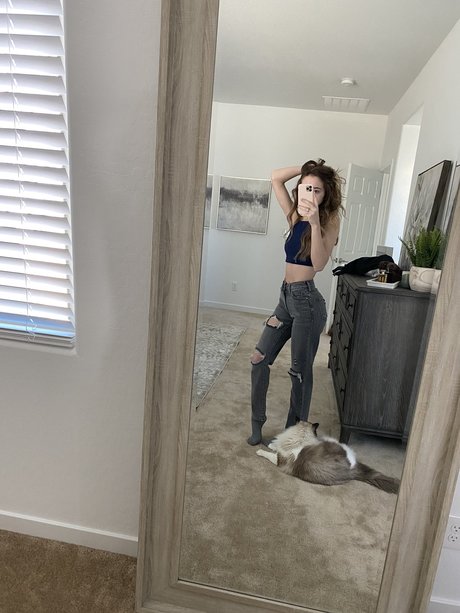 Knights Ry Profilbild