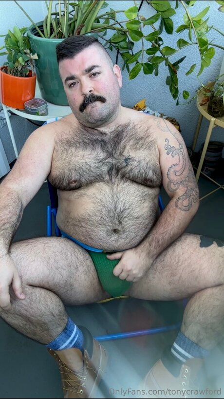 Tonycrawford erwachsene pornographische galerie