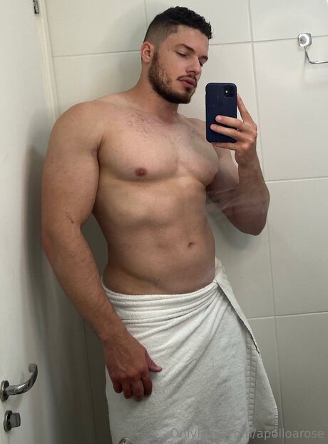 Apolloarose hübsche top galerien