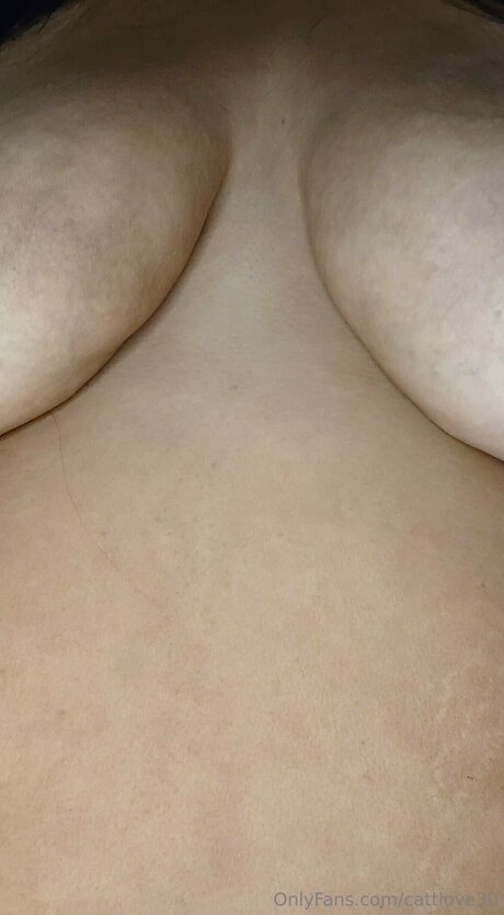 Cattlove30 akt galerien