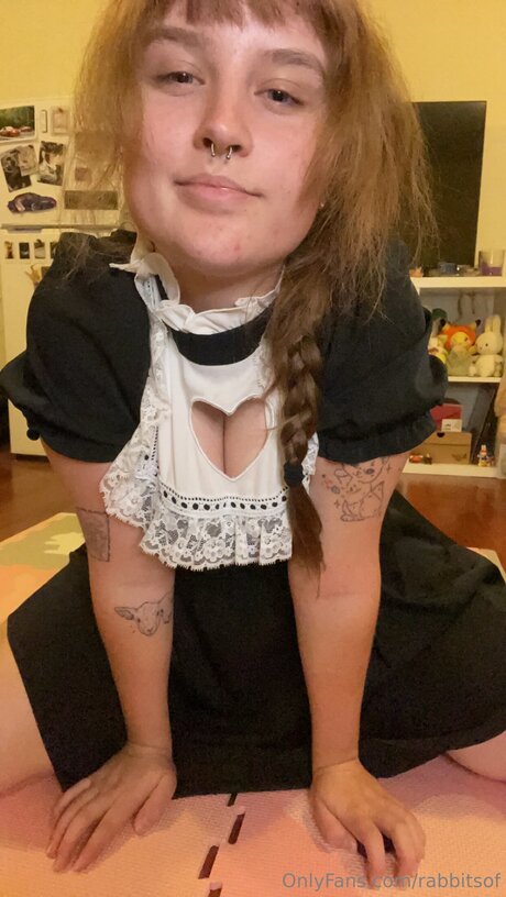 Rabbitsof heiße beste foto