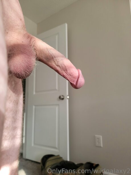 Wildgalaxy2 Profilbild