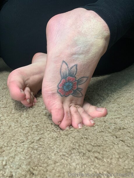 Marcitoes23 nackt pornostar galerien