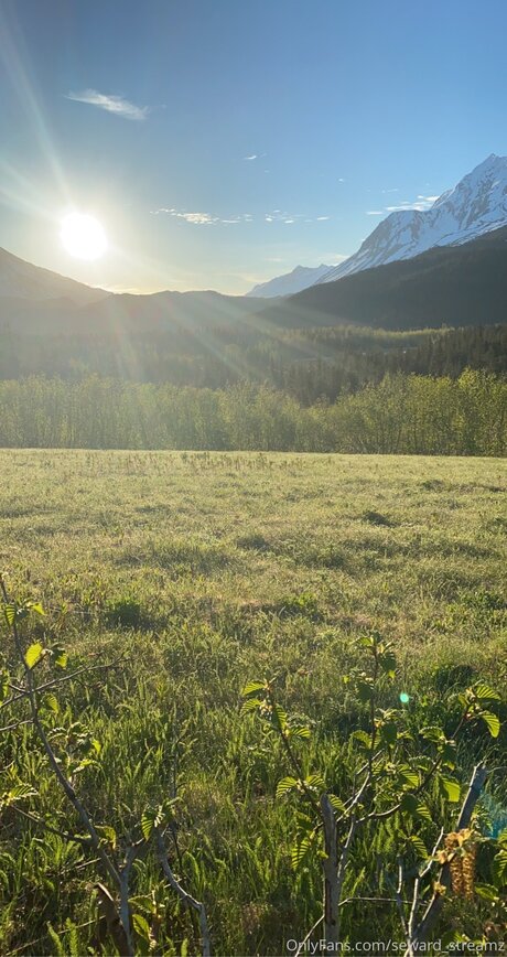 Seward Streamz sexy porno bild