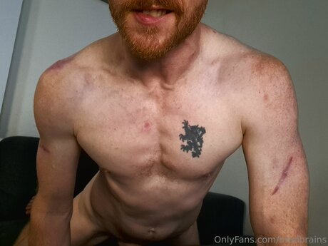 Bradbrains nackt pornographische galerien