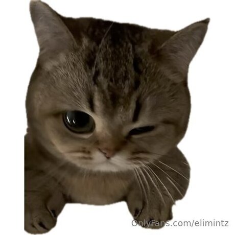 Elimintz kostenlose top fotos