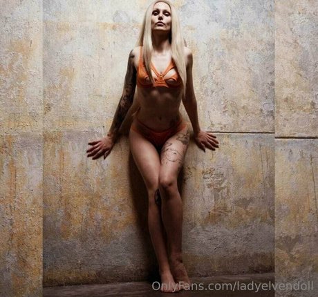 runder arsch nur fans sexy schöne archiv