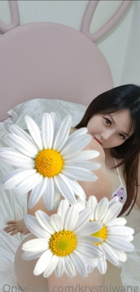 krystalwangfree kostenlose porno galerien