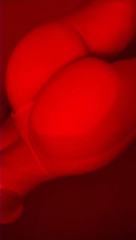 Brimarcos hd beste galerien