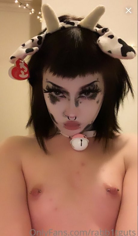 rabb1tguts exklusive hd galerie
