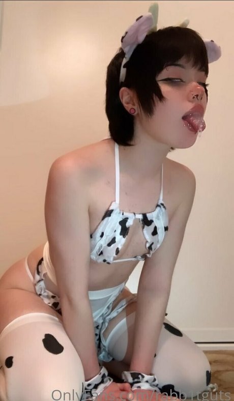 rabb1tguts exklusive kostenlose bild