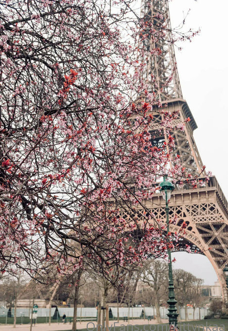 kittynkaa hd sexy galerien