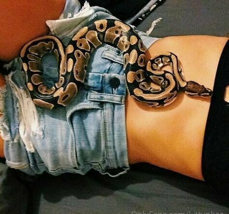 kittynkaa kunst schöne archiv