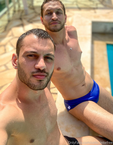 cello leitefree kunst nette bild