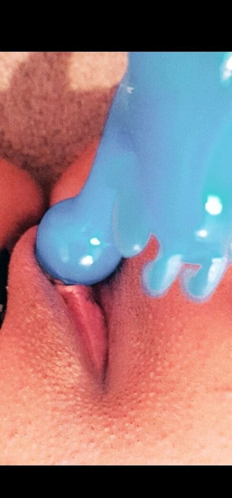 nvme x hd beste bild