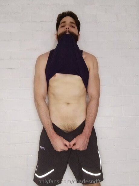 Charlesndft top hd bild