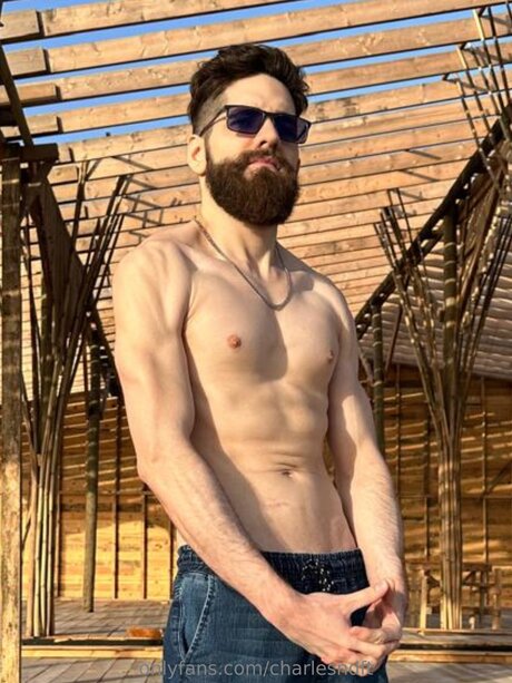 Charlesndft hd archiv