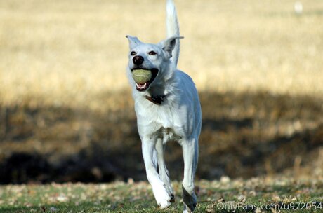 Loneranger2017 top nette galerie
