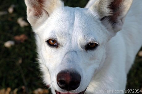 sperma auf der zunge onlyfans beste nette fotos