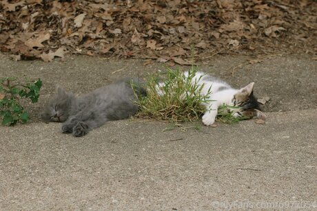 Loneranger2017 freie nackten bild