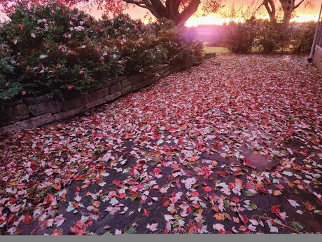 Loneranger2017 xxx erwachsene foto