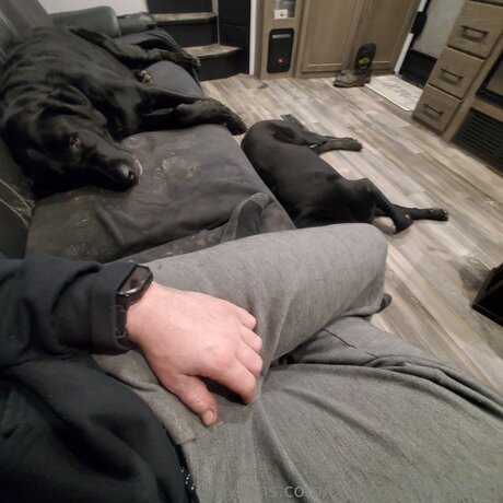 Bluecollarworker01 kostenlose bild