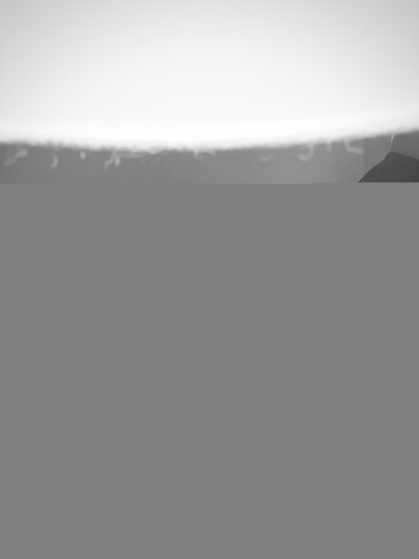 Solsunflowersfree exklusive kostenlose foto