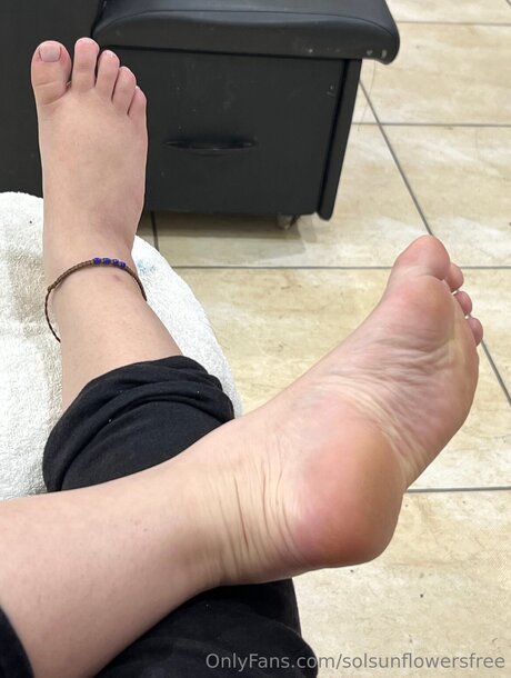 Solsunflowersfree model erwachsene bilder