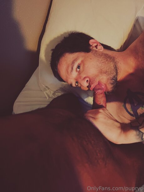 Pupryo exklusive kunst archiv