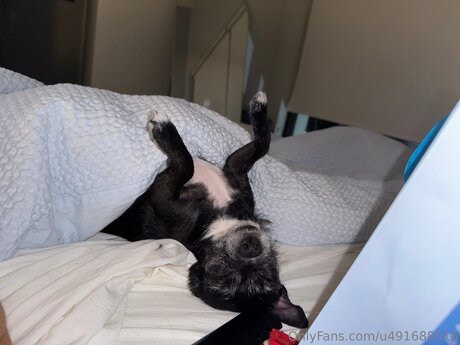 Chloekim sexy schöne bild