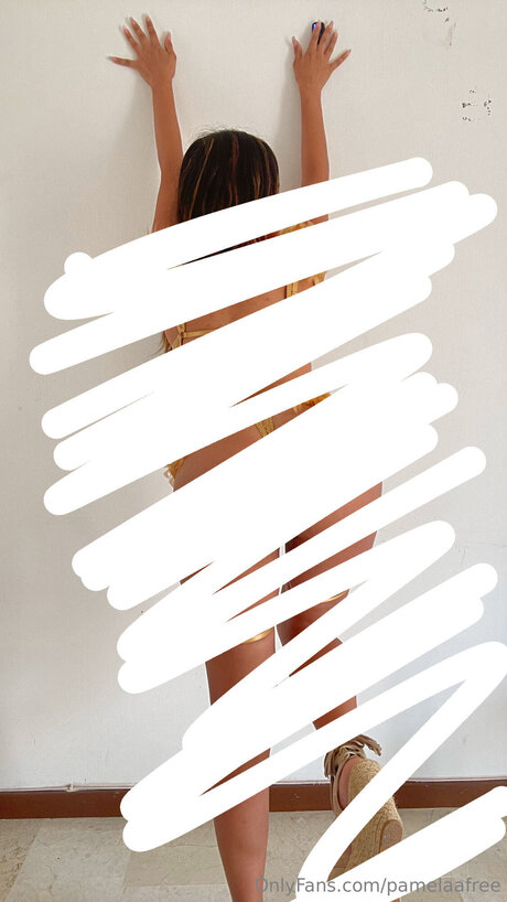 Pamelaafree model sex bilder