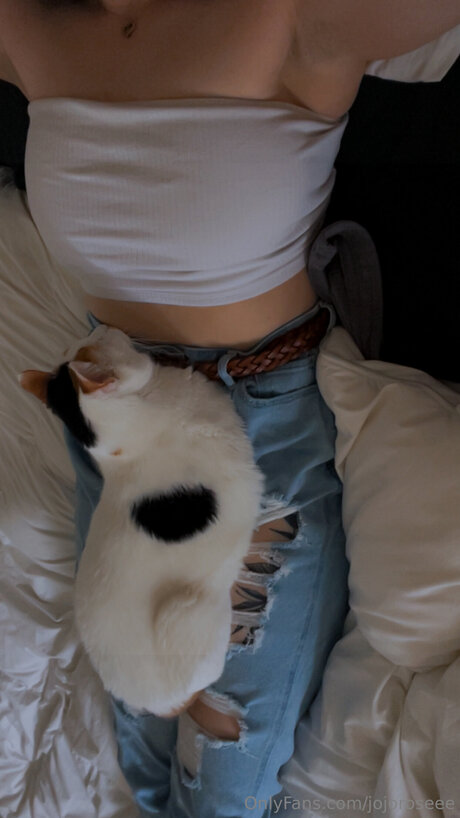 Jojoroseee beste schöne bild