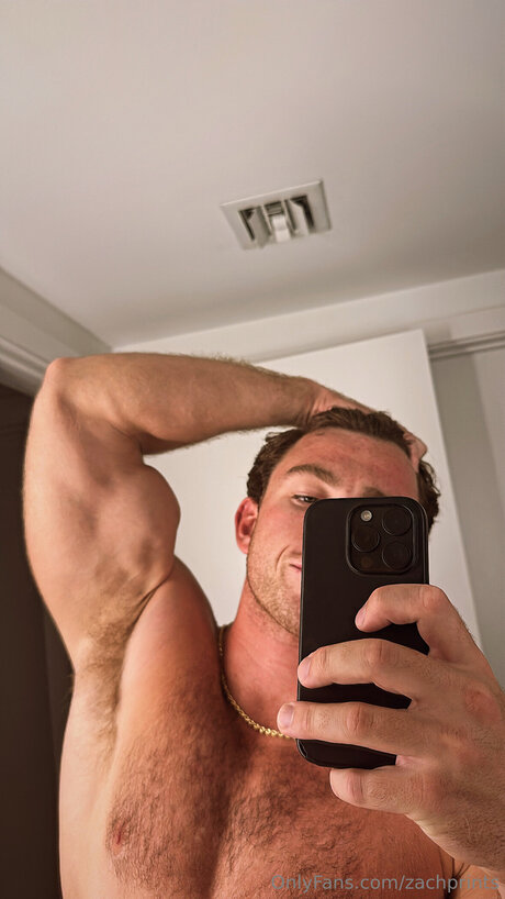 Zachprints freie perfekte bilder