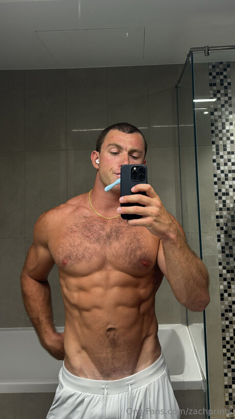 Zachprints sexy kunst bild