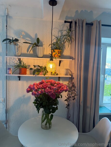 Sophiemurr hd erwachsene bilder