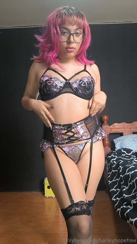 Harleyhopefree perfekte schöne archiv